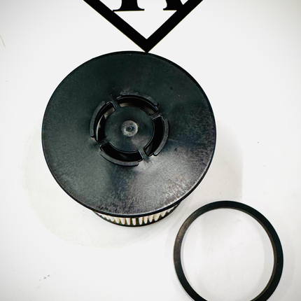 LS Tractor Element Set, Fuel Filter Main Set, 40416089