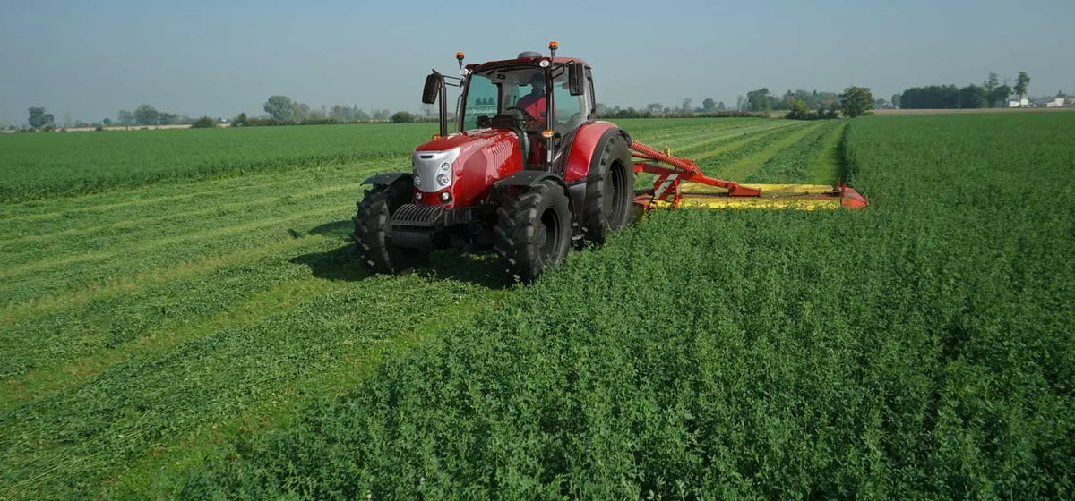 McCormick X6.135