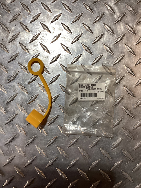 TYM PT 3/8 Female Dust Cap, LTS2181902