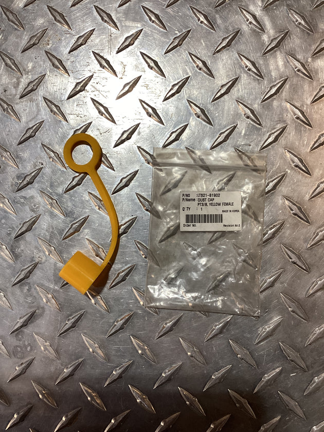 TYM PT 3/8 Female Dust Cap, LTS2181902