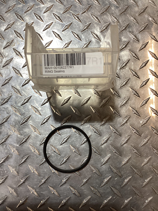 Mahindra Canister Fuel Filter Sealing Ring, 001082277R1