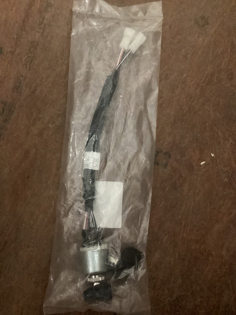 LS Tractor Switch Assembly Key, 20020343