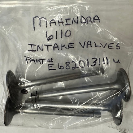 Mahindra Tractor 6110 Intake Valve, USED, E682013111U