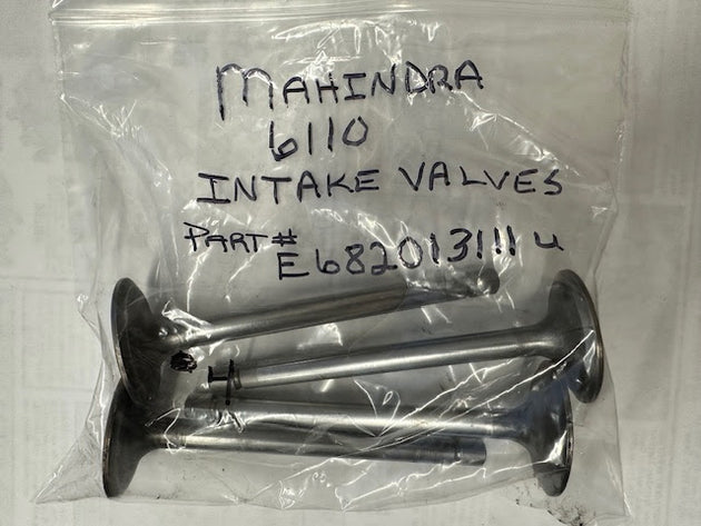 Mahindra Tractor 6110 Intake Valve, USED, E682013111U