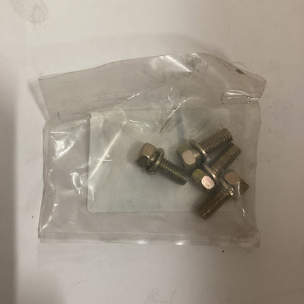 LS Tractor Hex Bolt W/WS, 40028921