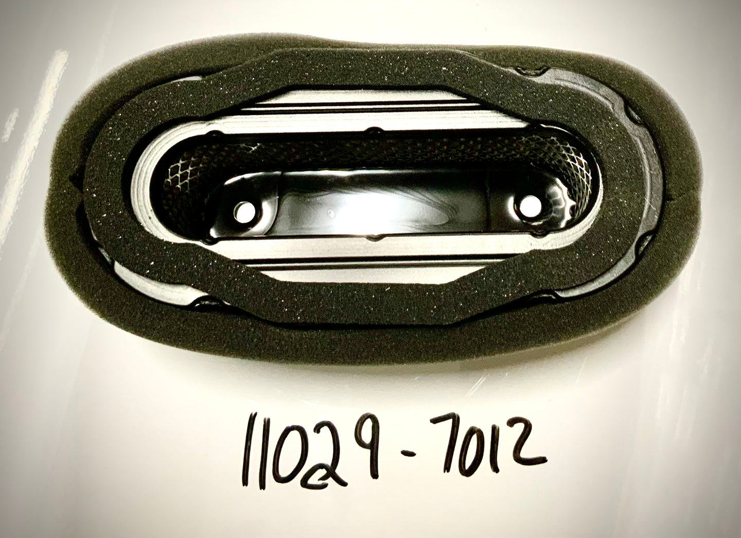 Kawasaki Element Air Filter Assembly, 11029-7012