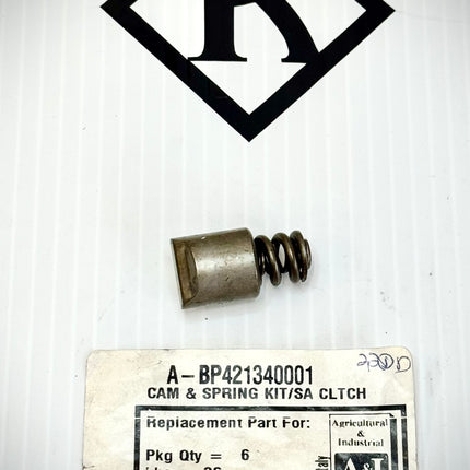 Radial Pin Clutch Set, Cam & Spring Kit/SA Clutch, BP421340001