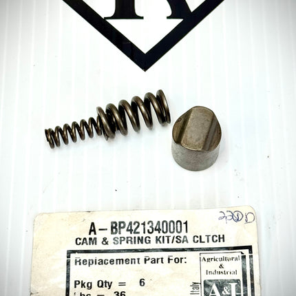 Radial Pin Clutch Set, Cam & Spring Kit/SA Clutch, BP421340001