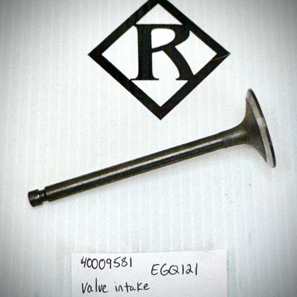 Mustang Valve Intake, EGQ121, 40009581
