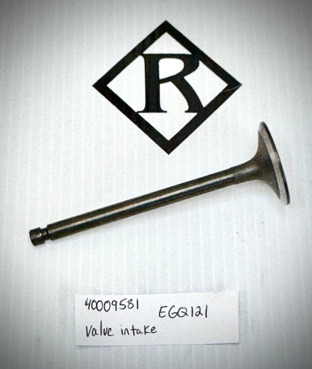 Mustang Valve Intake, EGQ121, 40009581