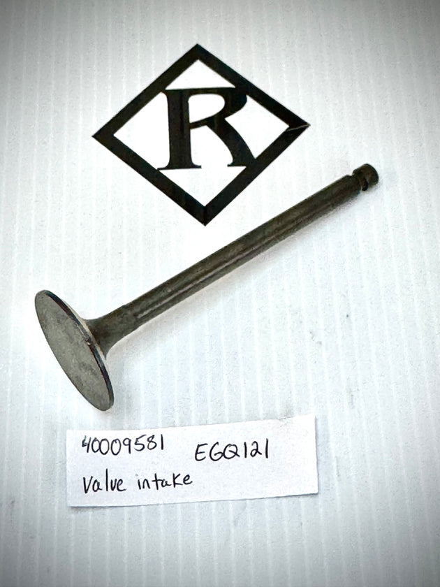 Mustang Valve Intake, EGQ121, 40009581
