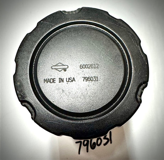 Briggs & Stratton Filter Air Cleaner, 796031