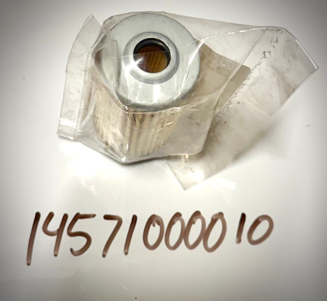 Mahindra Fuel Filter Element 2810, 14571000010