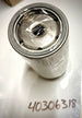 LS Tractor Fuel Filter, 40306318