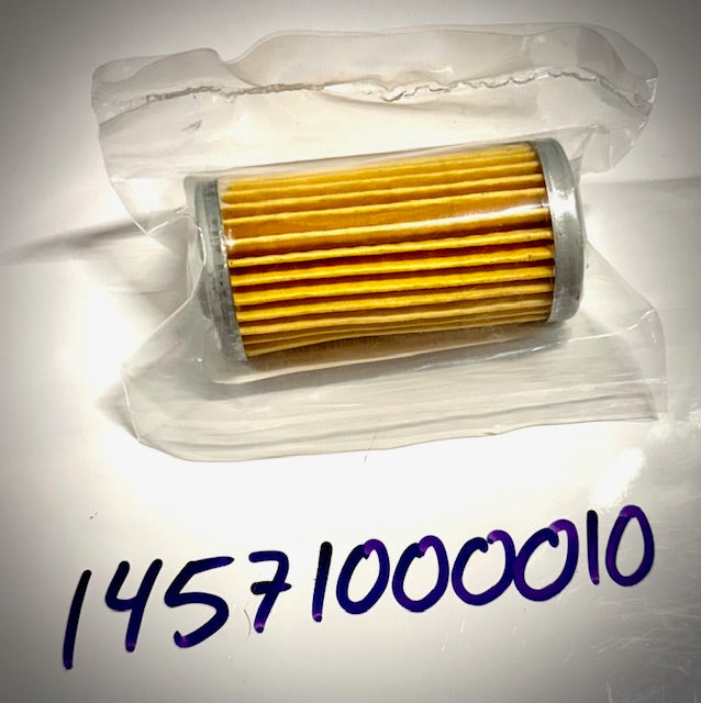 Mahindra Fuel Filter Element 2810, 14571000010