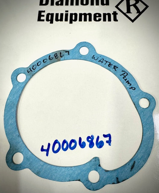 LS Tractor Water Pump Gasket, EGQ135, 40006867
