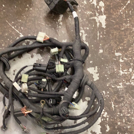 LS Tractor Harness Main Frame, 40342140